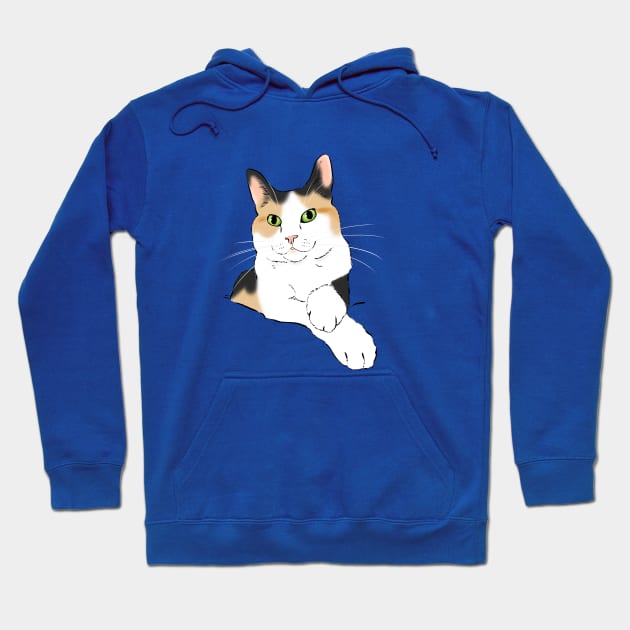 Calico Cat Portrait Hoodie by sockdogs